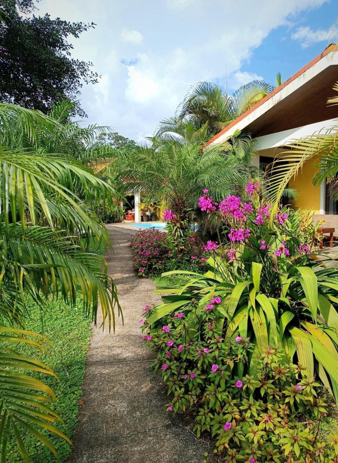 נובו ארנל Arenal Villas Tranquilas, Free-Standing Equipped Houses מראה חיצוני תמונה