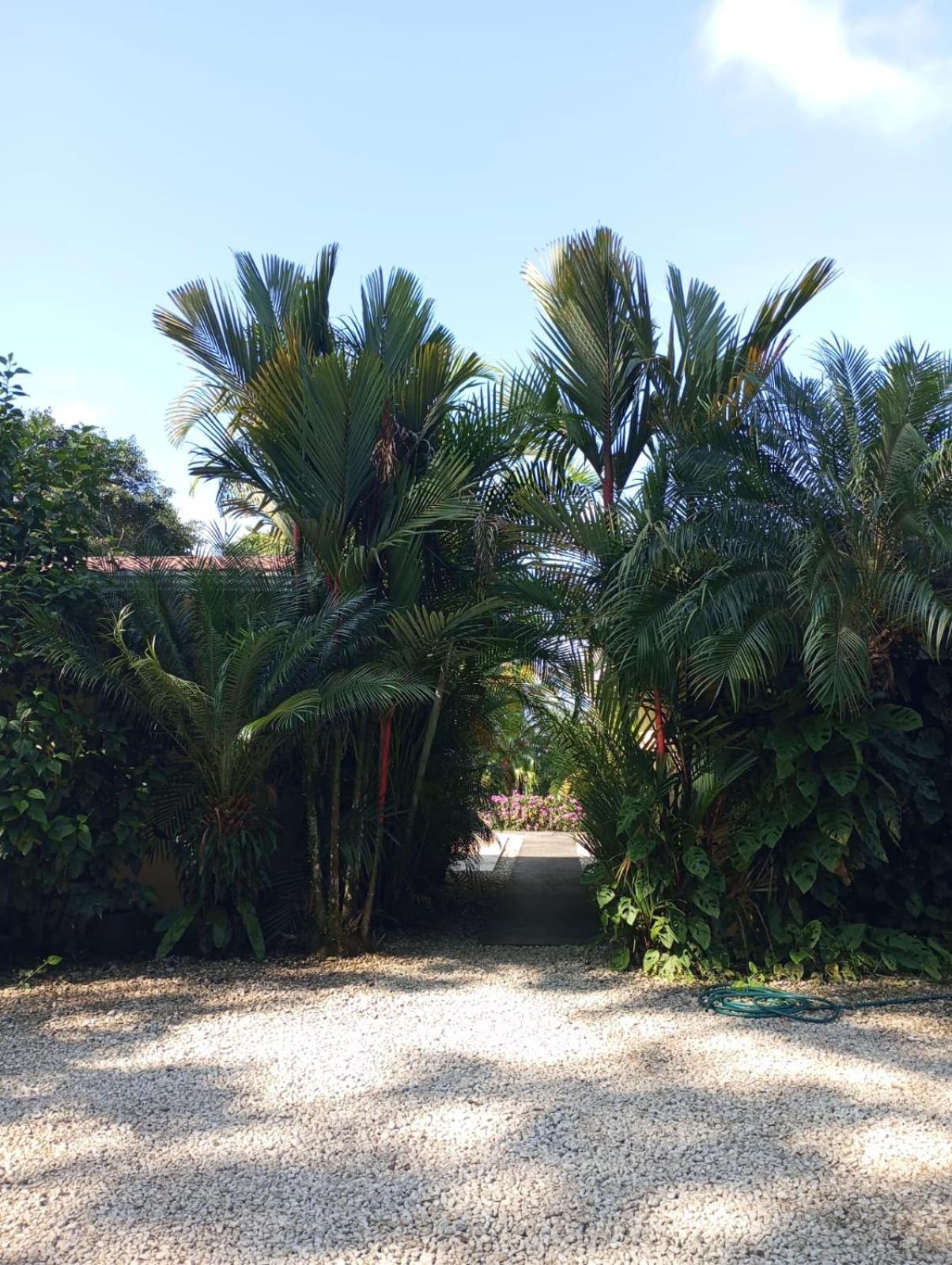 נובו ארנל Arenal Villas Tranquilas, Free-Standing Equipped Houses מראה חיצוני תמונה